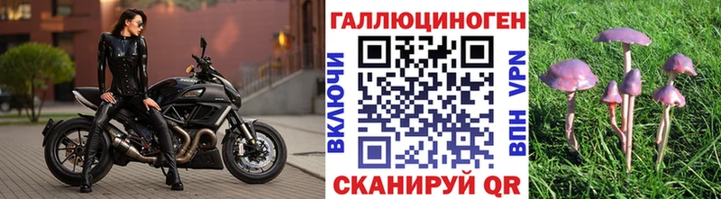 Купить закладки  Слободской  Галлюциногенные грибы Magic Shrooms 